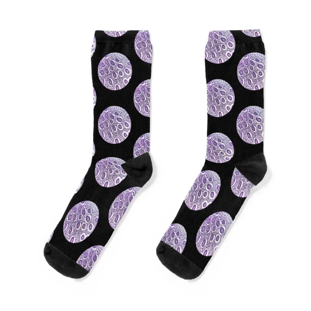 

Histology Pattern Socks compression Hiking boots New year's Boy Child Socks Women's