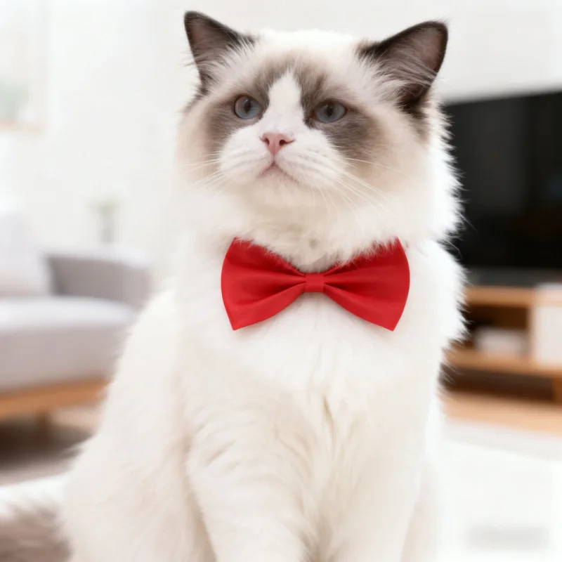 

Cat Collar Bowknot Adorable Simple Pet Bow Tie Adjustable Dog Cat Universal Fashion Accessories Elegant Design Durable Comfort