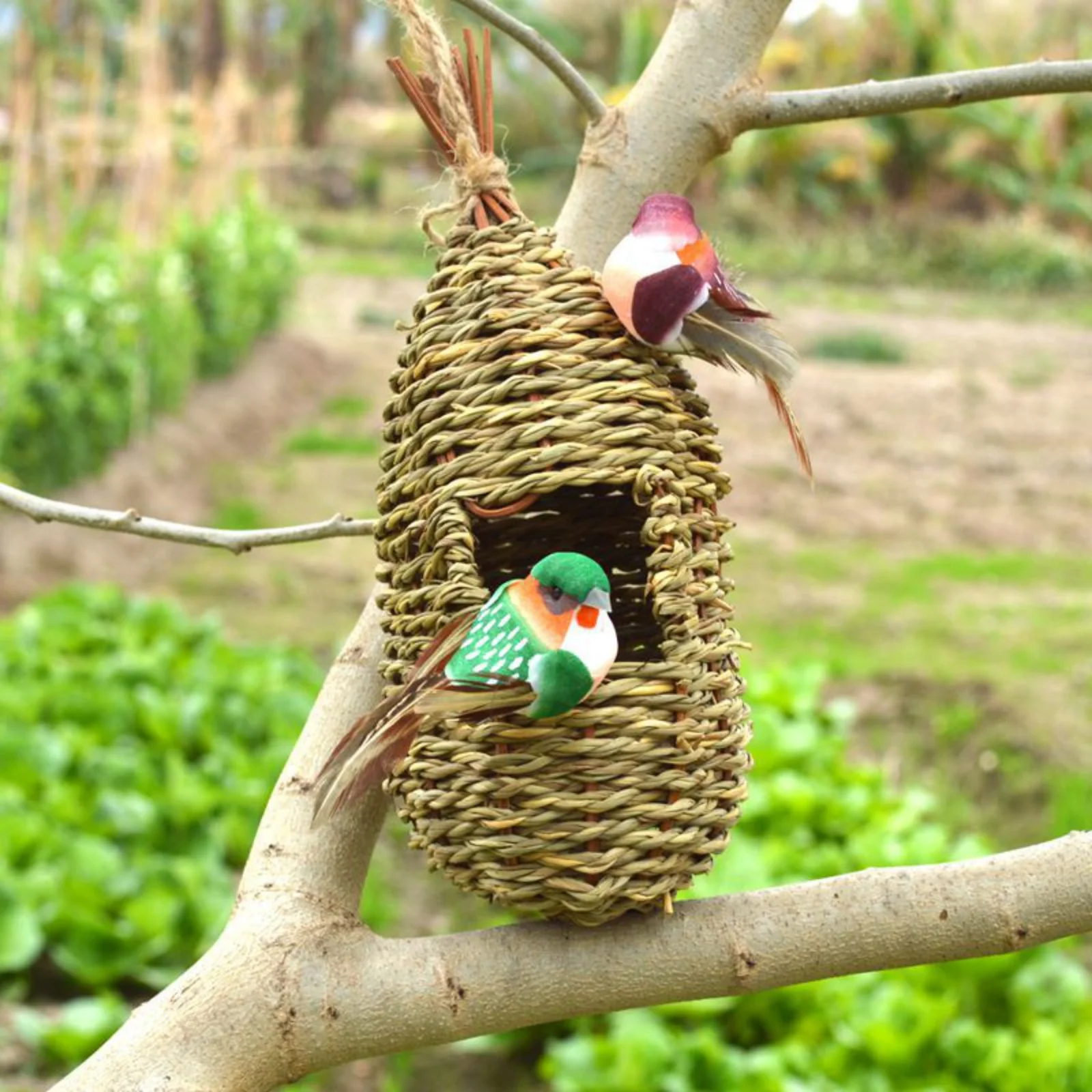 Bird Cage Natural Grass Egg Cage Bird House Outdoor Decorative Weaved Hanging Parrot Nest Houses Bedroom ﻿