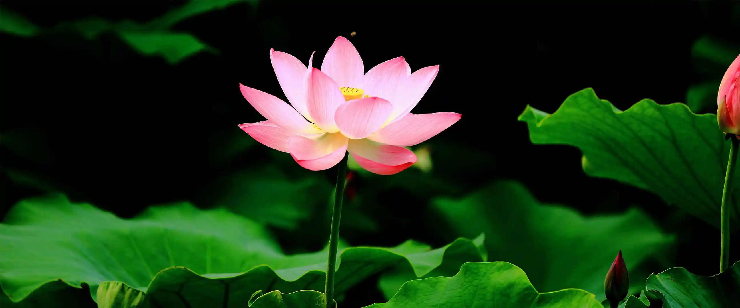 

Aluminum Alloy Machined Front Rear Portal Axle DIY Kit For 1/12 MN MN82 LC79 MN78 RC Car Part RC Car Accessories