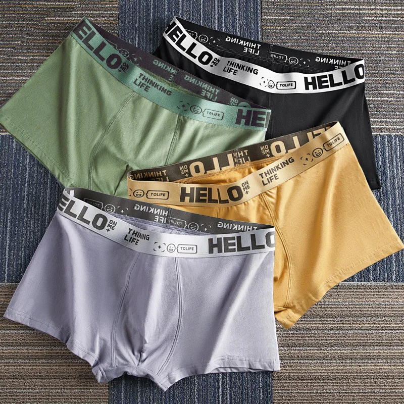 4 Pieces Men's Panties Soft Men Underwear Boxer Shorts Modal Cotton Boxer Shorts Middle Waist Ventilation Trend Underpants New