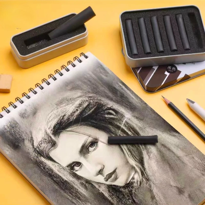 Water Soluble Sketch Painting Color Powder Stick Iron Box Set Artist Dry Wet Dual-purpose Charcoal Stick Art Charcoal Pencils