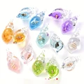 14pcs conch random