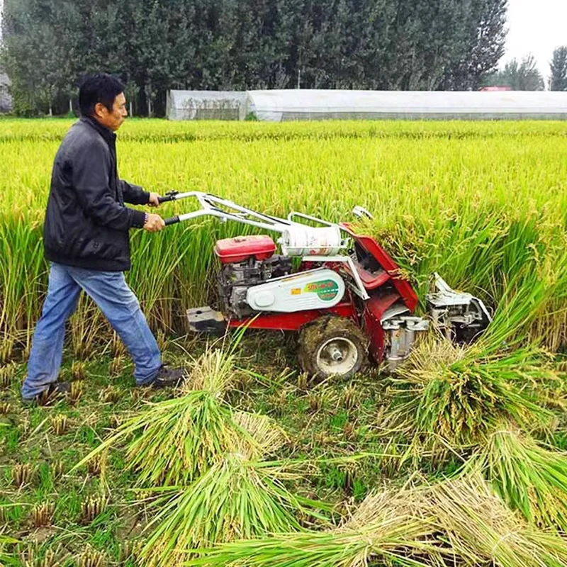 Push-Type Cutter-Baler Compact New Model Fully Automatic Barley/Wheat/Rice Combine Harvester and Baler Rice Baler(Customized)