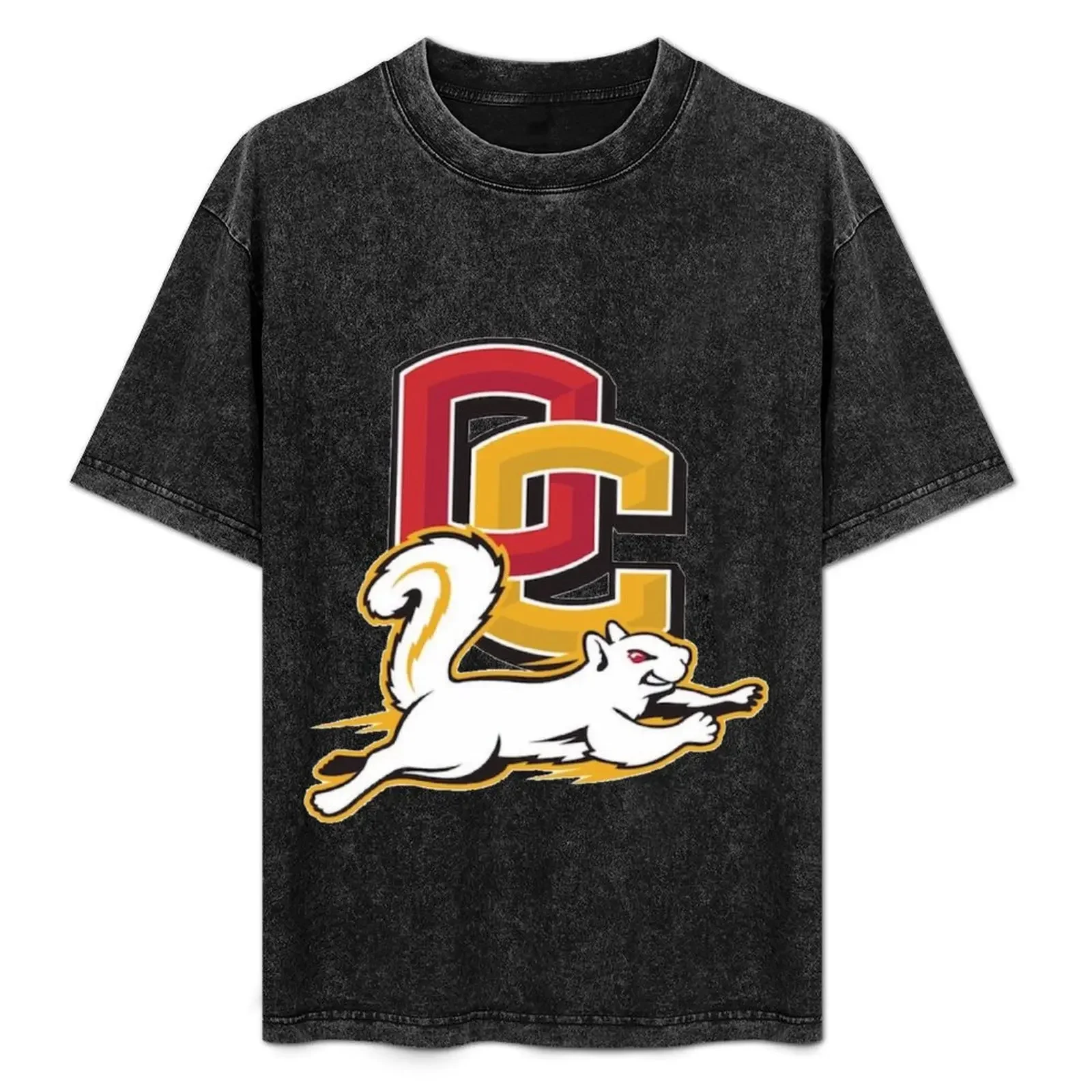 

Oberlin College T-Shirt luxury t-shirt tshirts personalised cute tops mens designer clothes