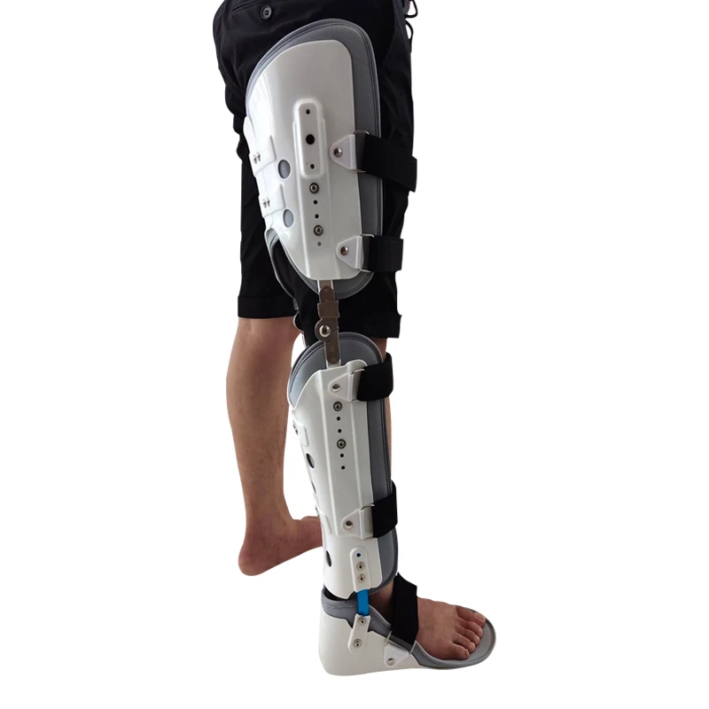 Brace Paraplegia Chest, Waist, Hip, Knee, Ankle and Foot Orthoses Double Lower Limb Weakness Assisted Standing