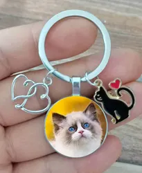 Classic Custom Cute Animals, Pets, I Love Cats, Cars, Keychains, Men'S And Women'S Fashion, Alloy Commemorative Gifts