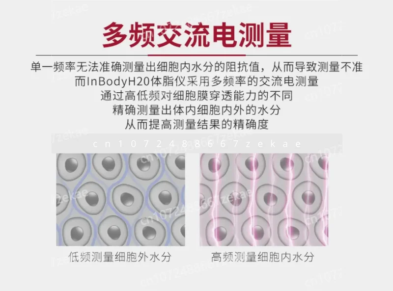 

Eight Electrode Intelligent High Precision Body Scale for Sports, Electronic for Professional Household Weight