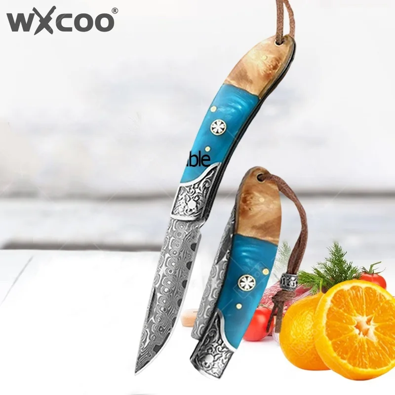Faca Dobrável de Aço Damasco WXCOO, Faca de Cozinha Durável para Chef, Faca para Cortar Frutas, Melhor Presente para Homens
