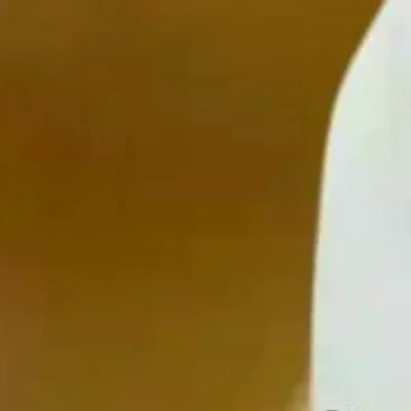 

1Pcs Wall Repair And Touch-Up Tool Reusable 350ml Paint Roller Brush Water Based Latex Paint Plastic Bottle DIY Accessories