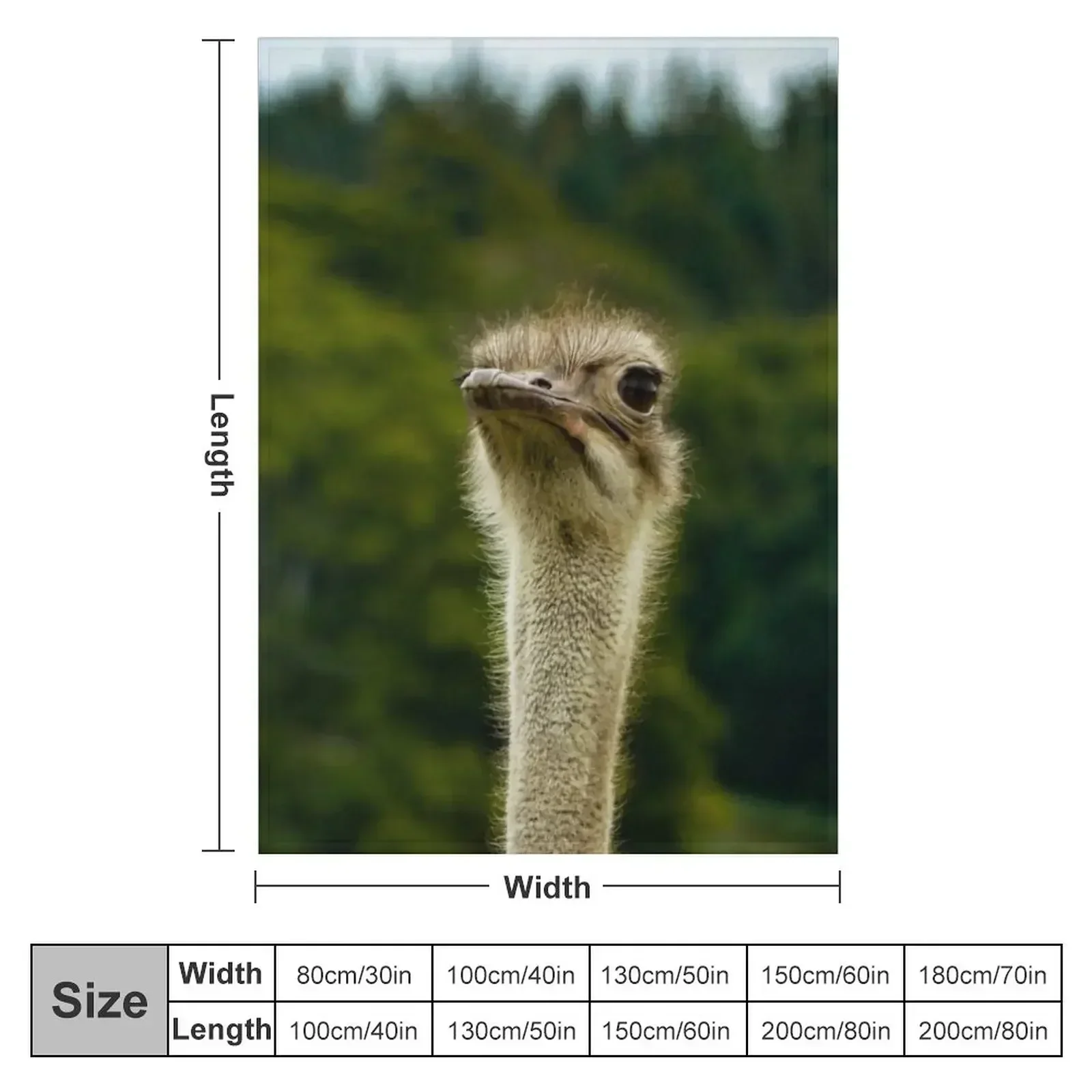 Ostrich Stood Tall Photograph - Ostrich Photography Throw Blanket sofa bed Thin blankets ands Flannels Blankets