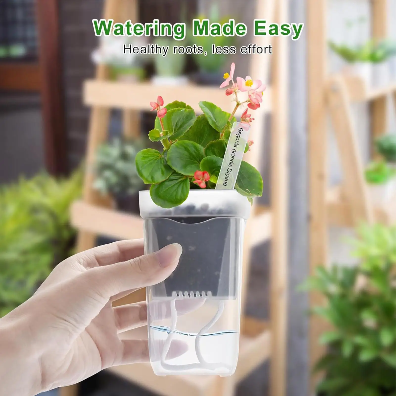 Self Watering Plant Pots 12 Pieces Clear Hydroponic Box With Drainage Holes Nursery Pots With Water Level Indicator For Living