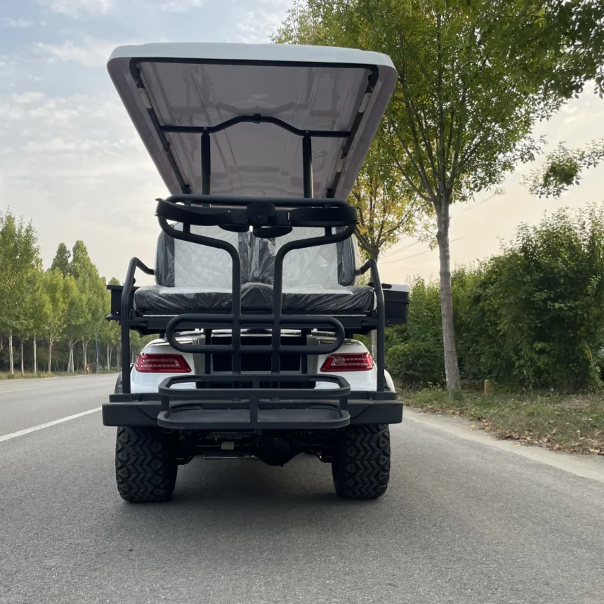 

VIP Honoured Guest For Sale Golf Cart 5000W/7000W Electric Golf Cart With CE With Golf Bag Straps And Basket And Ball Washer