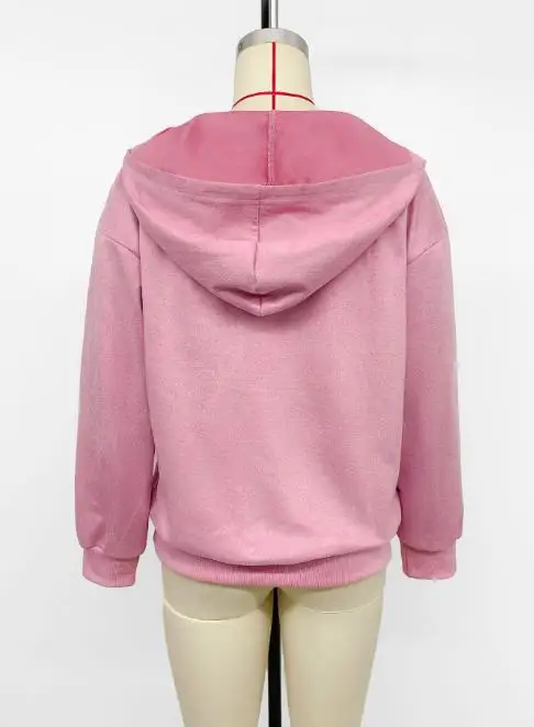 Women's Hoodie 2025 New Era Fresh and Sweet Wind Slant Zipper Velvet Solid Color Hoodie Simple Casual Elegant Hoodie for Women