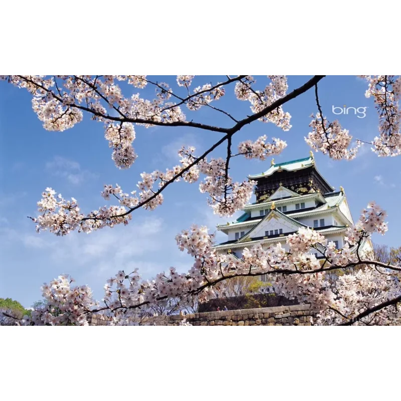 Home Decor Osaka Castle Japan-Silk Art Poster Wall Sicker Decoration Gift