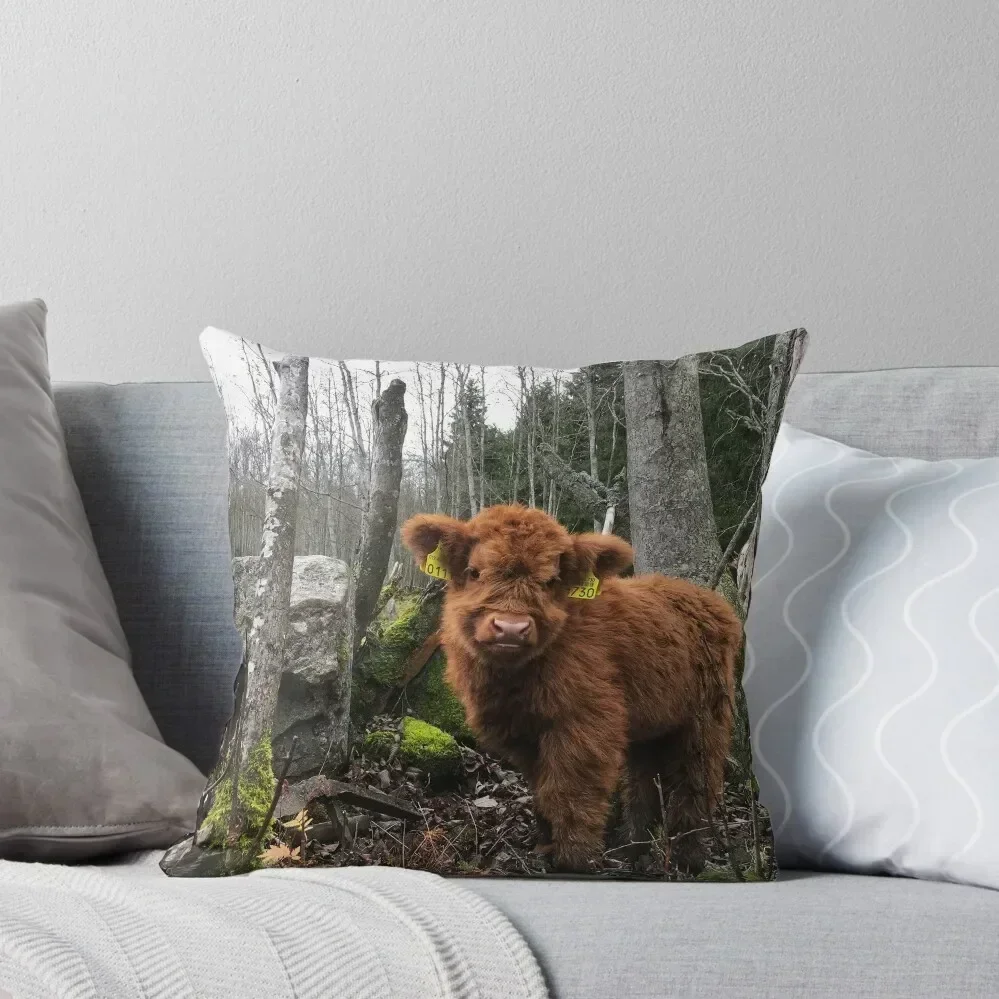 

Scottish Highland Cattle Calf 1581 Throw Pillow Luxury Cushion Cover luxury covers Pillow Cases Decorative pillow