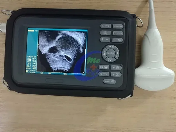 Manufacture Pet Clinic Cow Test