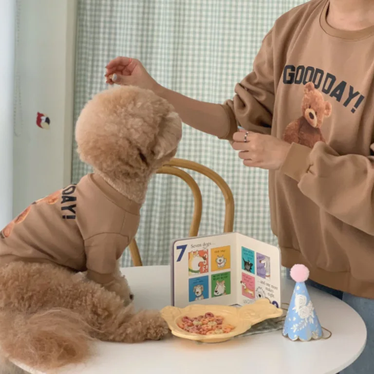 Dog Clothes Autumn Winter Cat Pet Embroidery Bear Bottom Shirt Jacket New Teddy Bichon Falcon Supplies