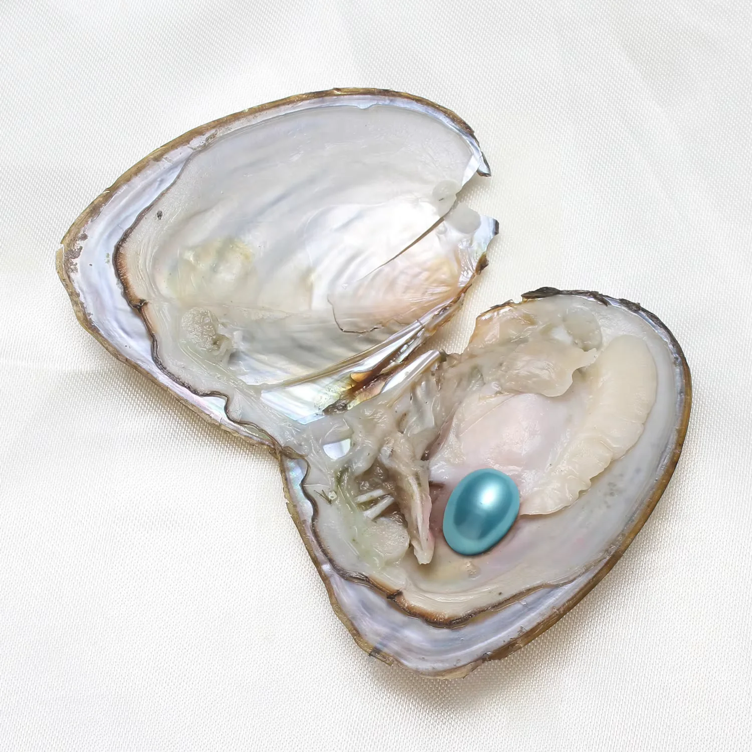 50PCs/Lot 10PCs/Lot Vacuum Pack Oyster Wish Pearl About 7-8mm Freshwater Pearl Oyster DIY Jewelry Accessories Gift High-quality Pearl Bead