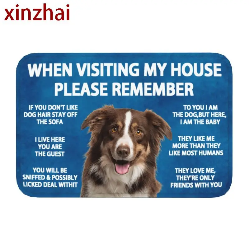 Please Remember Border Collie Dogs House Rules Doormat Mat Anti-Slip Bath Kitchen Bedroom Living Room Entrance Rug Carpet