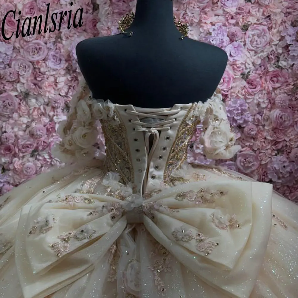 Robes de Quinceanera en cristal de perles de fleurs 3D champagne, robe de Rh, nœud en dentelle, corset personnalisé, appliques éducatives, XV Anos