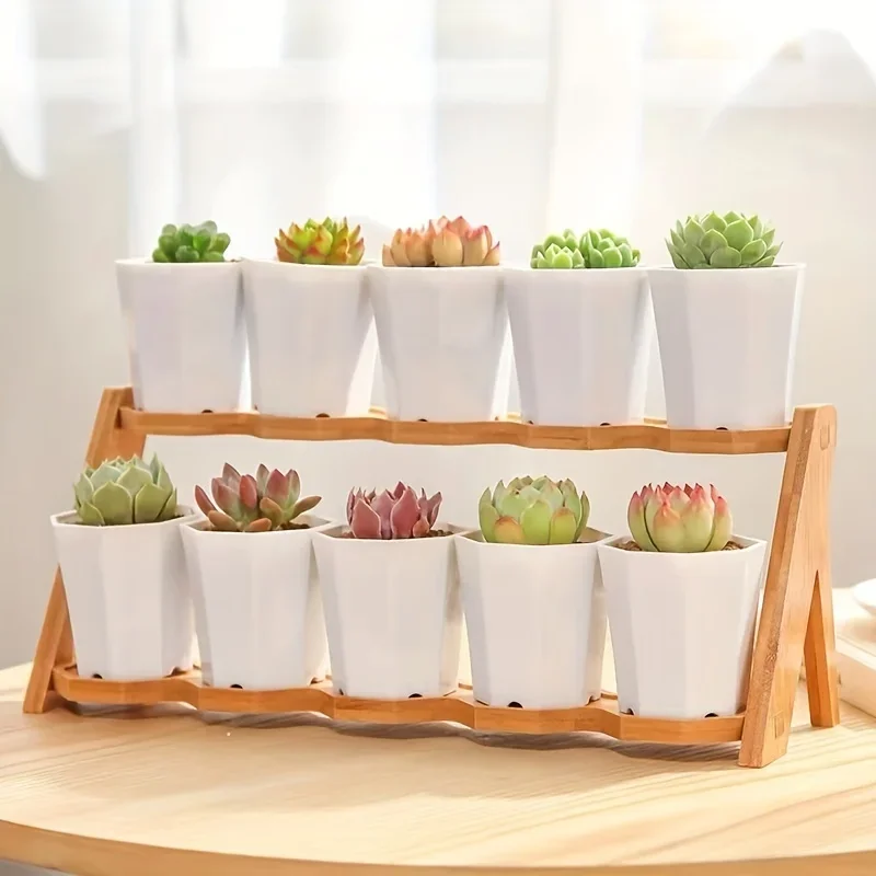 2/4/610 peças de vasos de flores octogonais brancos são muito adequados para cactos suculentos e crescimento de plantas internas e externas