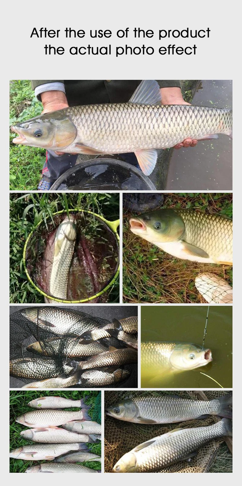 Ganzjahres-Universal-Angelköder-Set für Outdoor-Angeln Blue Carp Speed 2 # Old Ghost 918 Köder, eine 3-in-1-Kombination für Wildfischen, geeignet für Karpfen- und Karpfenfischen. – Detail 7