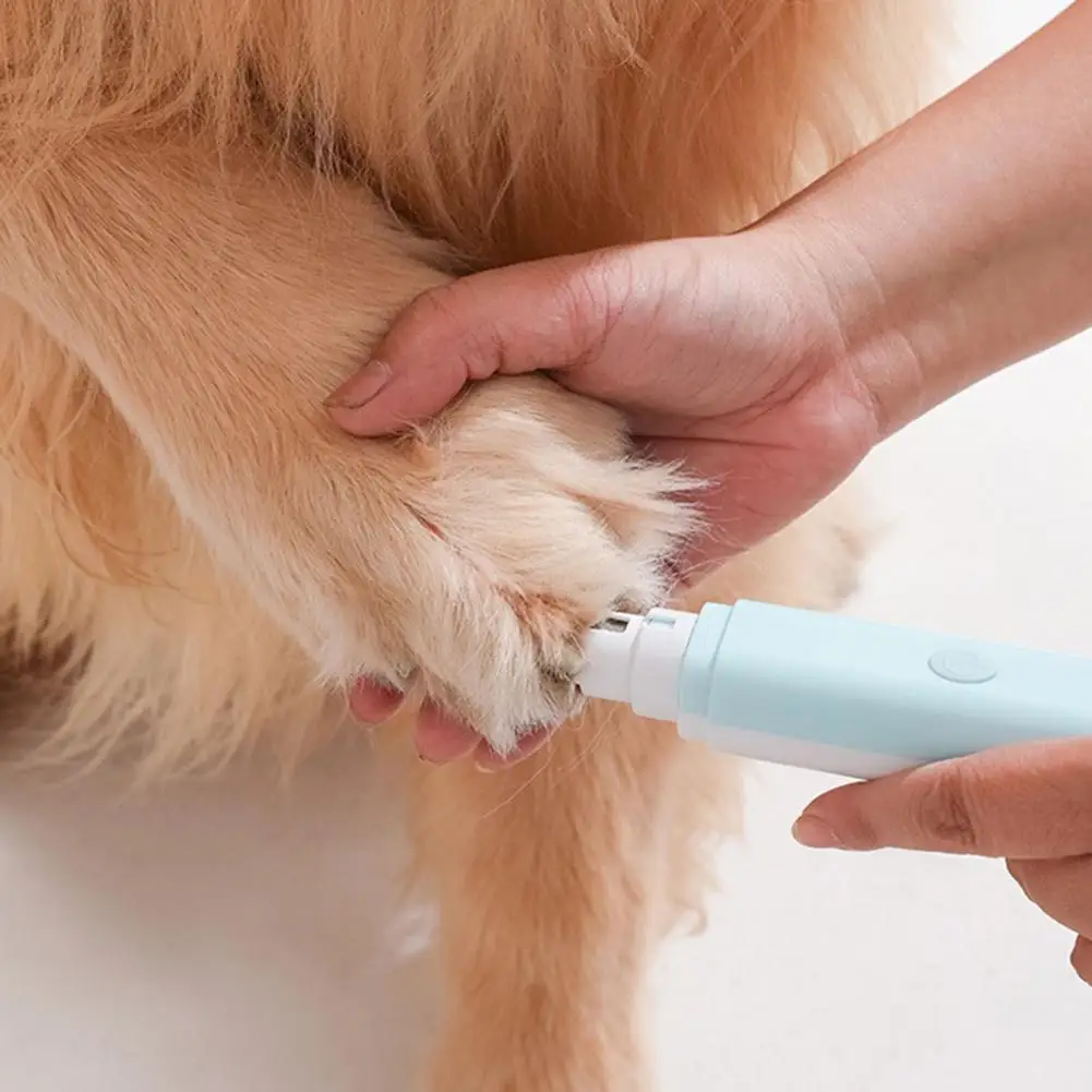 

Floating Hair Prevention Brush for Pets 2-in-1 Nail Grooming Brush for Pets Gentle 2-in-1 Pet Grooming Comb Nail for Healthy