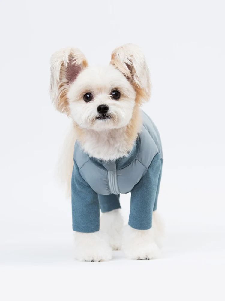 sniff-–-vetements-a-quatre-pattes-en-coton-et-velours-pour-animaux-de-compagnie-pour-petits-chiens-comme-teddy-corgi-bichon-bouledogue-francais-automne-et-hiver