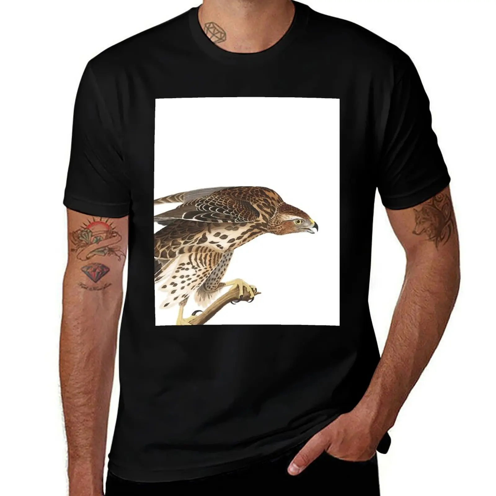 Northern Goshawk - John James Audubon T-Shirt Plus Size Outdoor Casual Top T-Shirt