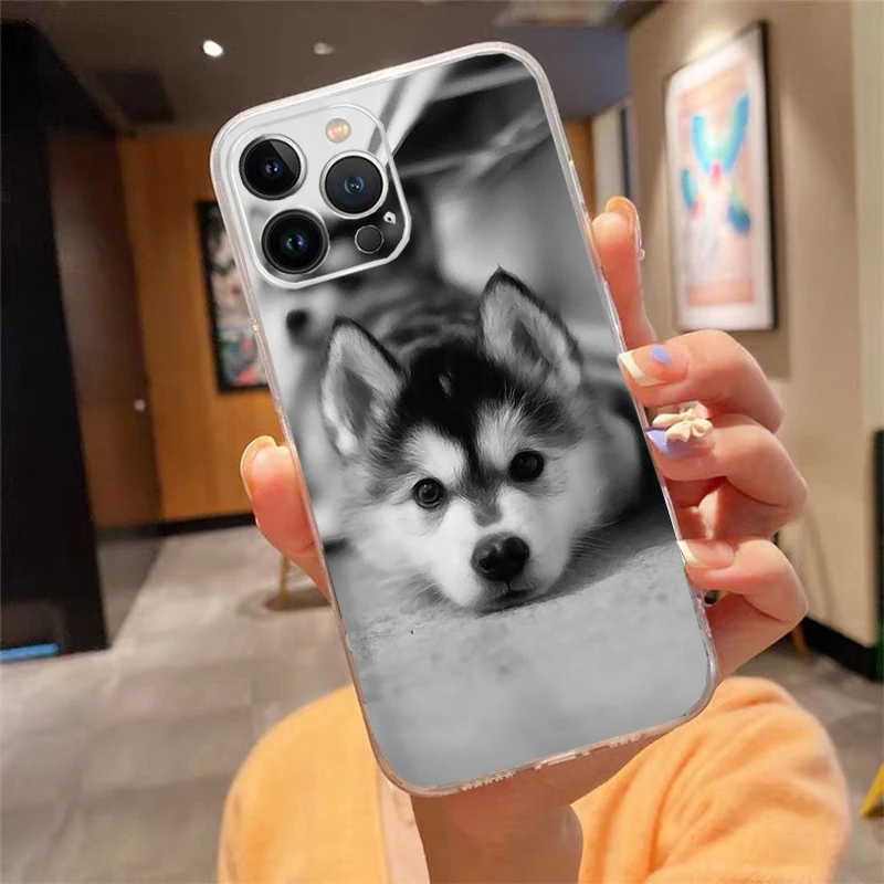 

Phone Case For iphone 17ProMax Air 16 15 14 13 Pro Max 15 16 Pro 15Plus Alaskan husky dog