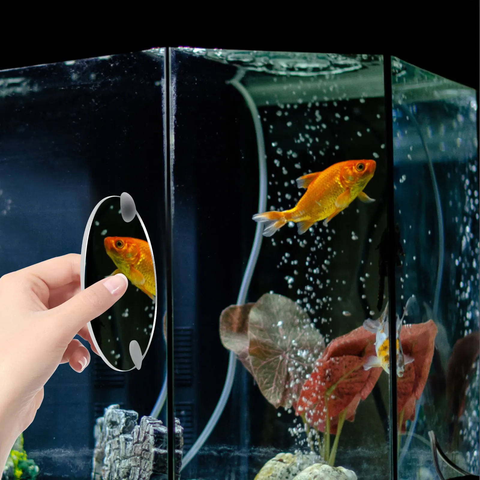 

Fish Tank Betta Toys Acrylic Decorative Training Supplies Single Side Mirror Pet Betta Training Mirrors Accessories