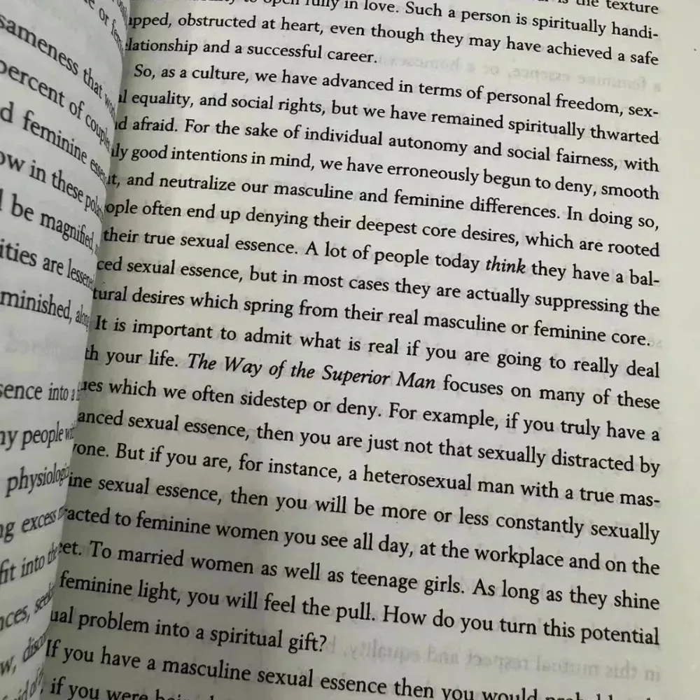 The Way of The Superior Man By David Deida | A Spiritual Guide To Living with Purpose Passion & Integrity