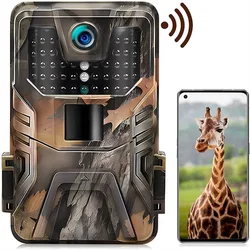 Outdoor Live Video Show App Controle Trail Camera, Câmera do jogo, No Glow, Noite, 940nm Visão, Wildlife Trap Cam, 4K, 36MP, Wi-Fi