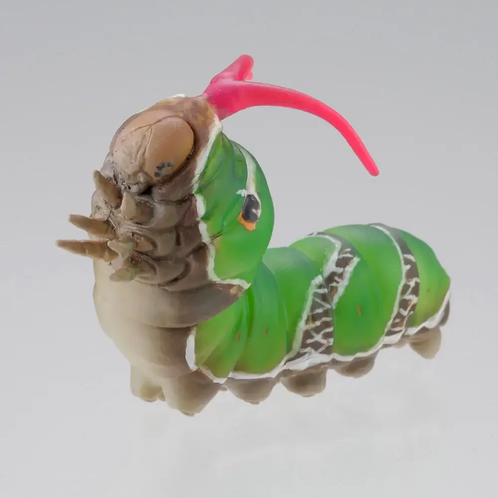 Twisted Egg Scale Model Japanese Authentic Caterpillar Silkworm Larvae Anchovy Butterfly Larvae Twist Eggs Desktop Collection