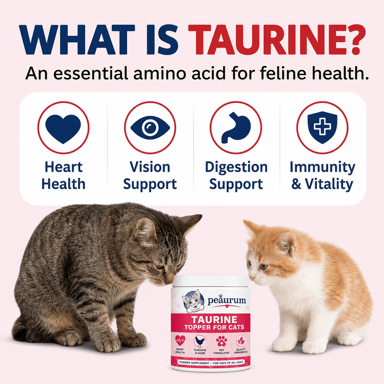 Taurine for Cats | Veterinarian-Formulated Chicken-Flavored Taurine Powder Supplement for Cats and Kittens | Supports Heart, Vision, and Immune Health (2.65 oz)