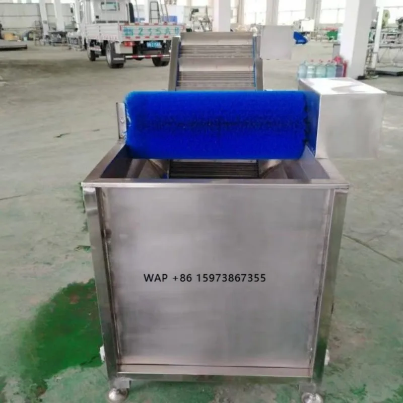 

Simple Vegetable and Fruit Washing Conveyor System Machine