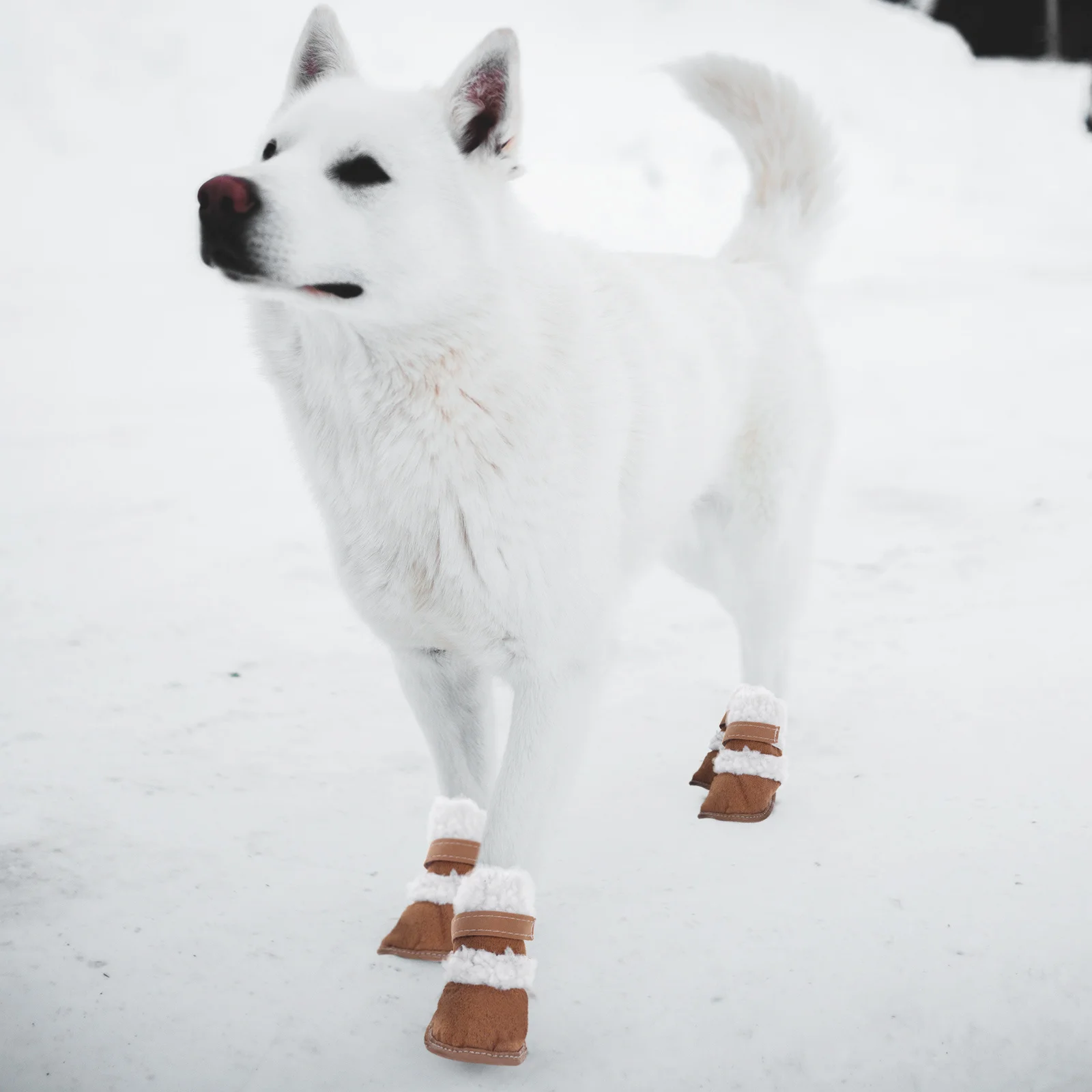 

2Pairs Pet Snowshoes Dog Winter Boots Outdoor Sports Shoes Paw Protectors Anti Slip Pet Winter Boots Paw Protectors