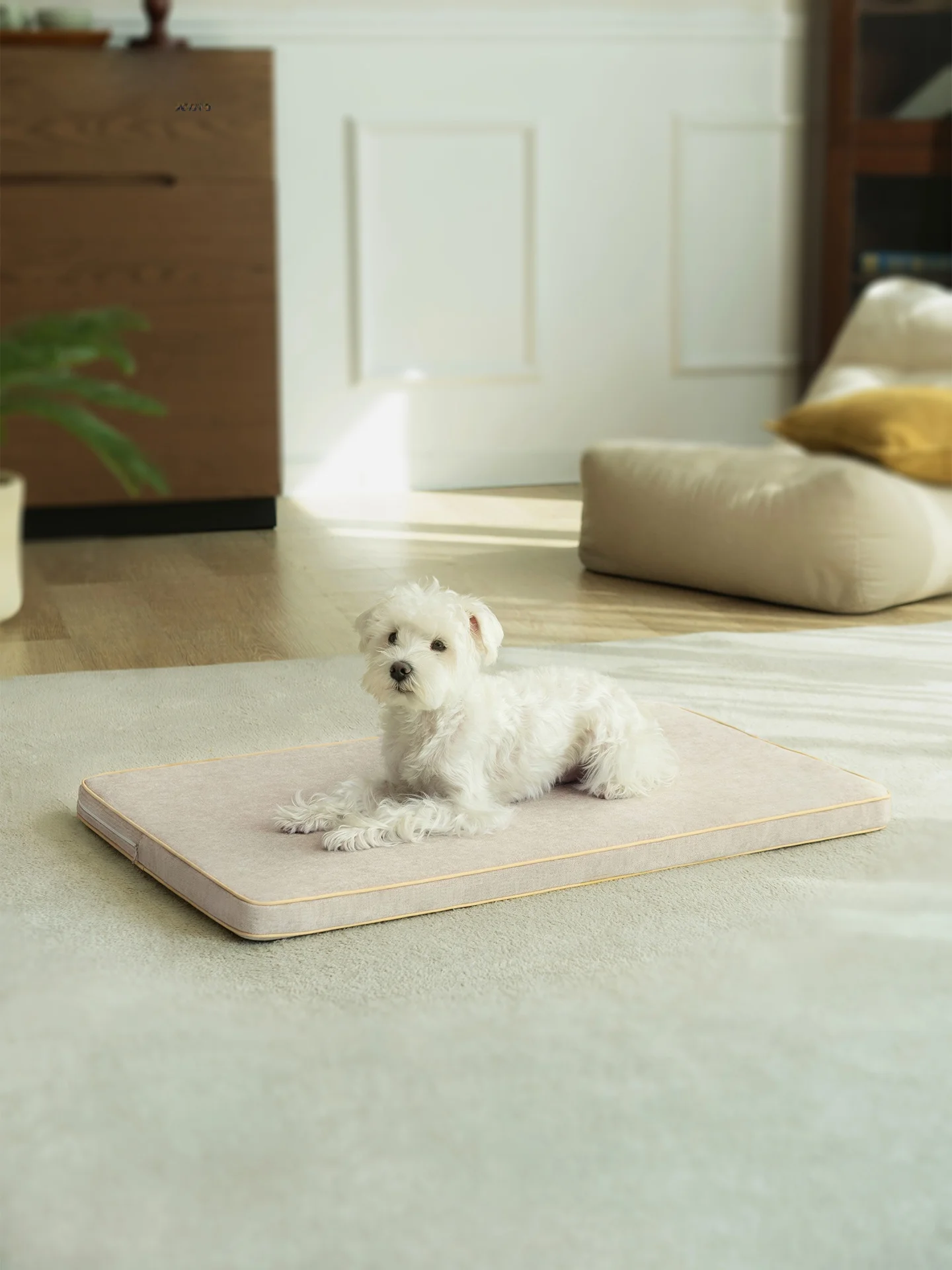 tapis-pour-animaux-de-compagnie-epaissi-respirant-avec-housse-amovible-resistant-a-l'usure-universel-quatre-saisons-tapis-pour-chien-haut-de-gamme-tapis-de-sol-doux