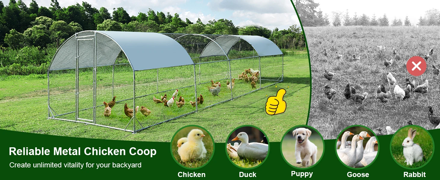 chicken cage