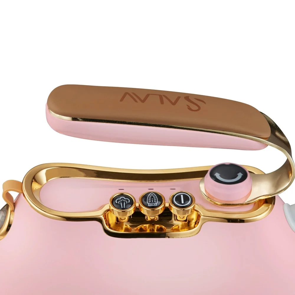 Retro Duopress Steamer and Iron 1000W Dual Heating Ceramic Plate 180° Handle Auto Shut-off 10min Steam Duration