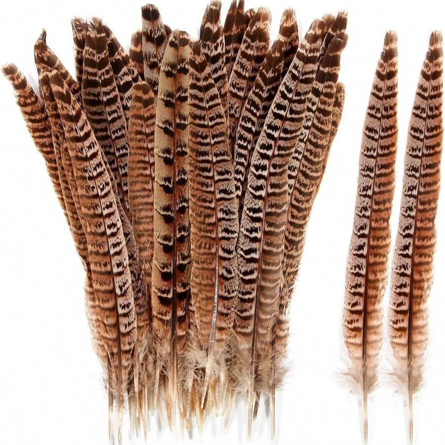 10-35cm 천연 꿩 꼬리 깃털 수컷 암컷 아름다운 깃털 DIY 머리 장식 보석 축제 장식 공예용