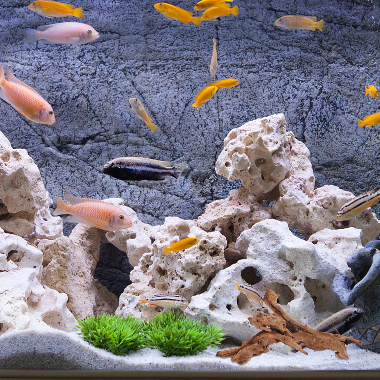 

Driftwood Decoration for Fish Tank 20 25cm Rhododendron Root Stump Craft Natural Aquarium Supplies Pet Supplies
