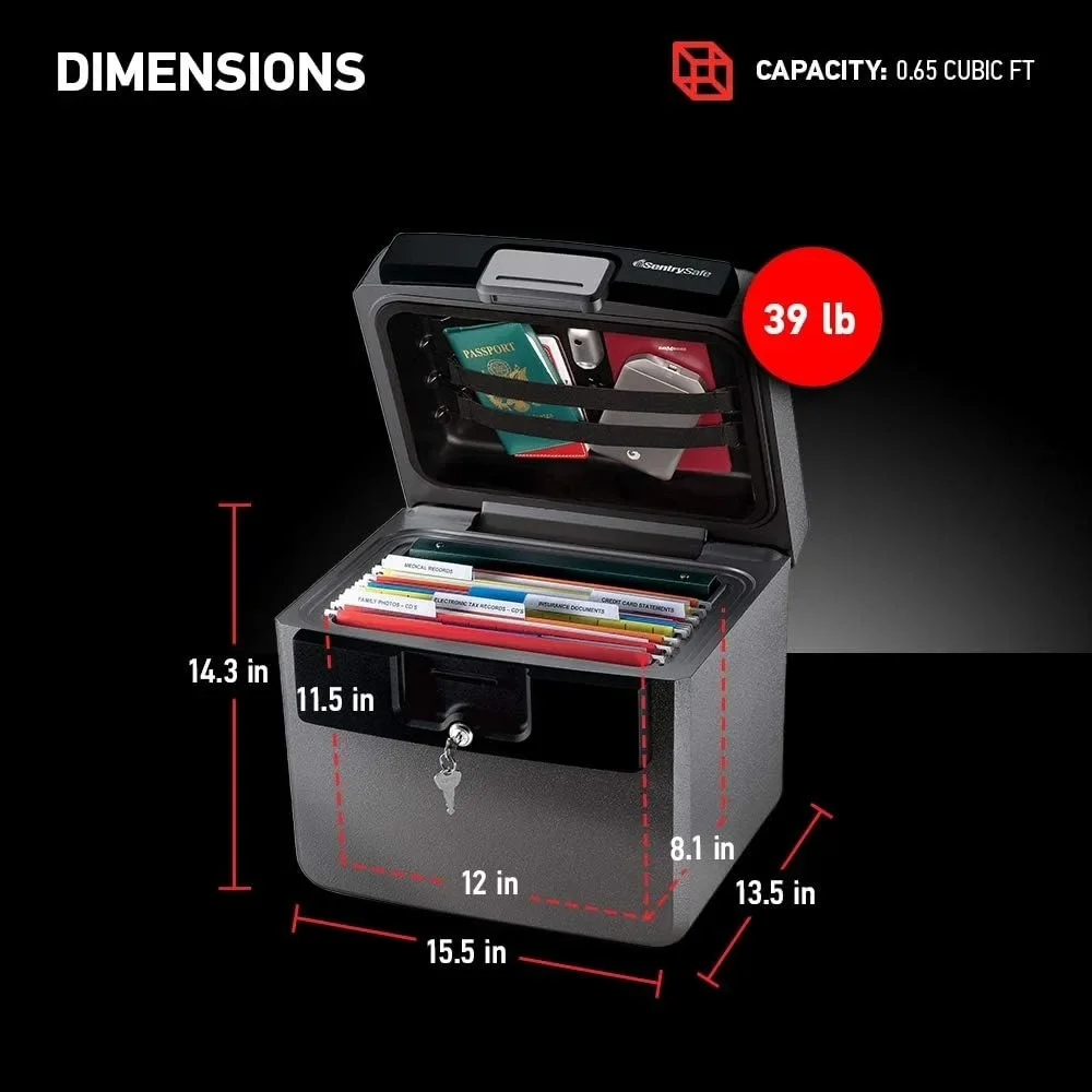 Sentry Safe Cassaforte nera ignifuga e impermeabile, cartella portadocumenti e scatola portadocumenti con serratura a chiave, Ex. 14,3 x 15,5 x 13,5, HD4100