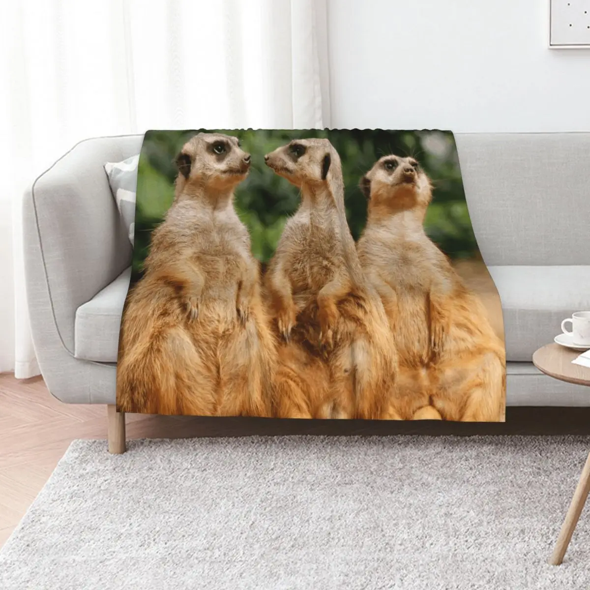 Meerkat 07 Throw Blanket Large for babies Soft Plaid Thermal Weighted Travel Blankets
