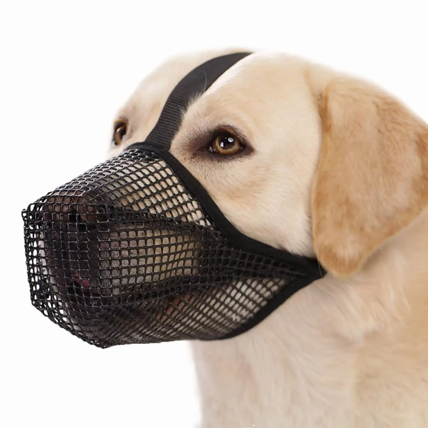 NEW Dog Mouth Cover Mesh Large Dog Breathable Mesh Anti-eating Barking Golden Retriever Mouth Cage Bite-proof Pet Mask view 5