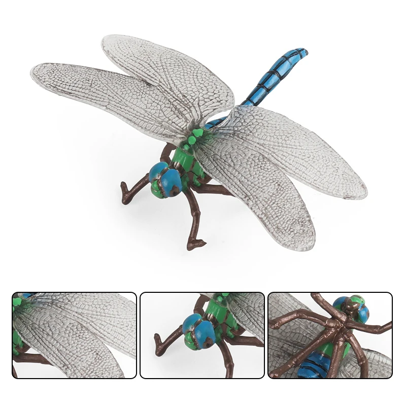 Oenux Simulation Wild Insect Animals Model Dragonfly Grasshopper Centipede Action Figures Miniature Education Collection Kid Toy