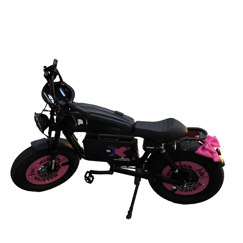 Pink city young male and female students walking on campus Non-slip wide tire retro electric bicycle