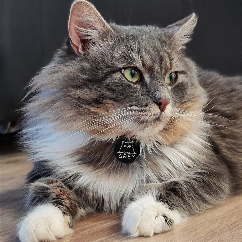 Personalized Pet ID Tags Cute Cat Face Collar Accessories Name Tags ID Collar Pendant Customized Free Engraved Anti-lost Tag