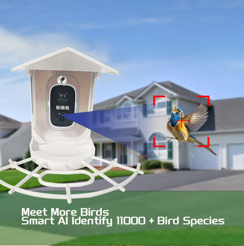 STLFSmart Bird Feeder with 4MP HD Network CamerassAI Bird Recognition Solar-Powered Outdoor Waterproof Bird Feeder